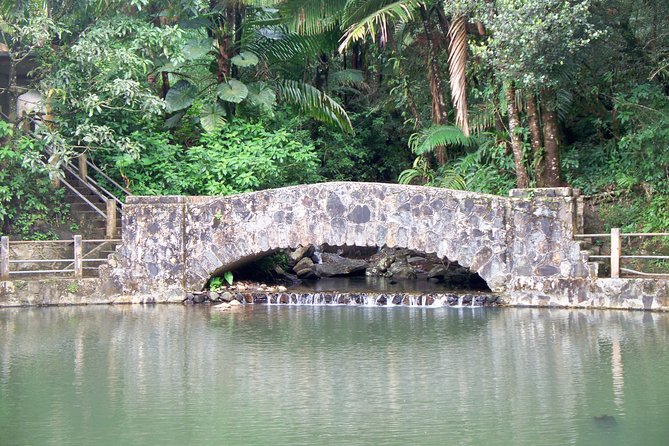 Original Tropical Rainforest and Beach Adventure - Playa Luquillo: Two Hours by the Sea