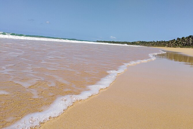 Original Tropical Rainforest and Beach Adventure - What the Strong Feedback Tells You