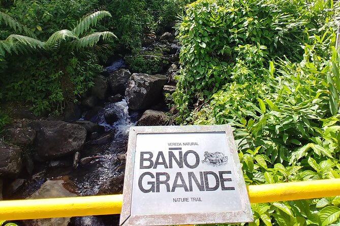 Original Tropical Rainforest and Beach Adventure - Who Should Book This El Yunque and Luquillo Tour?