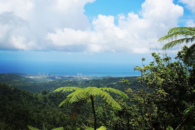Original Tropical Rainforest and Beach Adventure - The Drive from San Juan to El Yunque