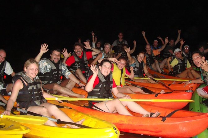 Overnight Bio Bay Kayak Tour in Vieques Island - Moonlight, weather, and the best night to go
