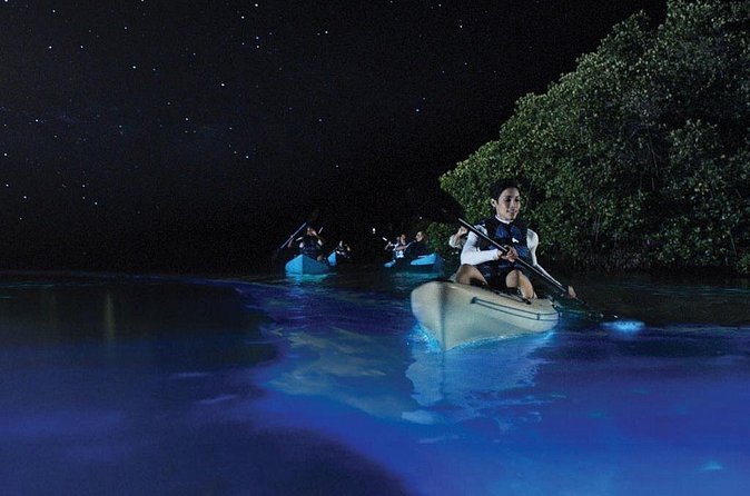 Overnight Bio Bay Kayak Tour in Vieques Island - How long does the tour feel?