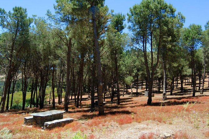 Panorama VIP Tour in Gran Canaria - Tejeda is the day’s high point