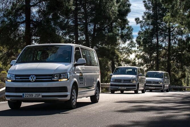 Panorama VIP Tour in Gran Canaria - Artenara, Barranco Hondo, and Monte Pavón