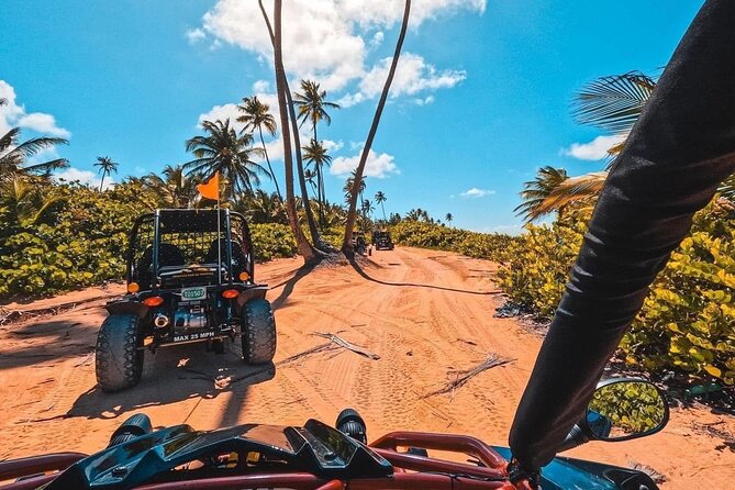 Piñones Beach Buggy + El Yunque Waterfall Adventure - What the Buggy Ride Feels Like in Practice