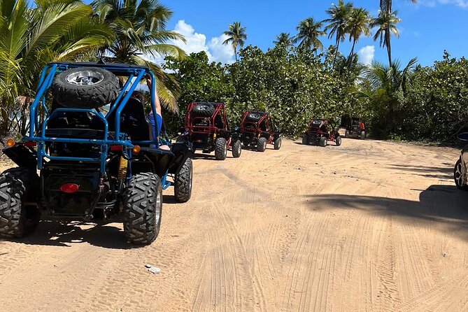 Piñones Beach Buggy + El Yunque Waterfall Adventure - How to Prepare for the Beach and Rainforest