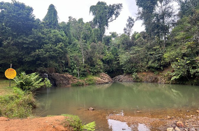 Pork Highway & Cayey Cultural & Gastronomical Experience - Who should book this Cayey experience?