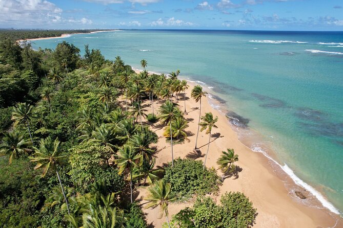 PR Chinchorreo-Beach and Bar Hopping Tour - Quick take: what matters most