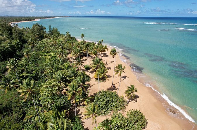 PR Chinchorreo-Beach and Bar Hopping Tour - Crashboat Beach and the western route