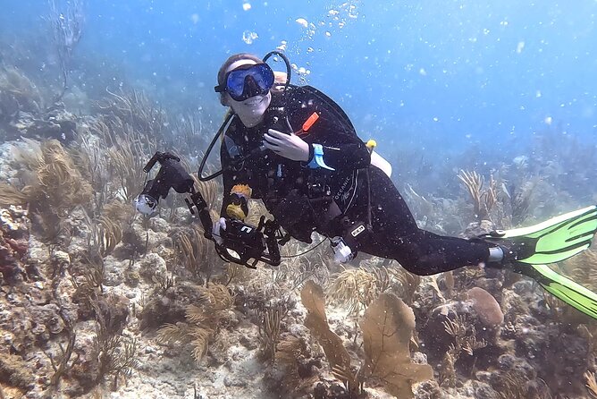Private 2-Tank Dive with PADI Instructor for Certified Divers - Key Details Before You Book
