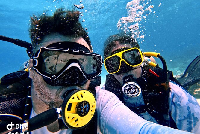 Private 2-Tank Dive with PADI Instructor for Certified Divers - Why This Private Fajardo Charter Works Well