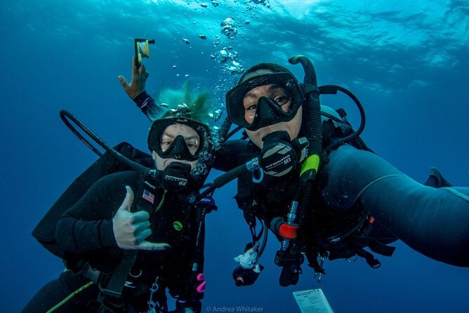Private 2-Tank Dive with PADI Instructor for Certified Divers - What Happens on the Two Reef Visits
