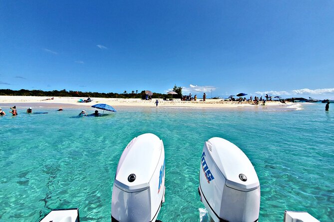 Private All-Inclusive 22ft Boat Guided Snorkeling Icacos Palomino - Key details before you book