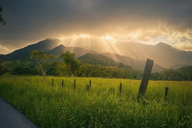 Private El Yunque Half-Day Tour with Transport - Safety rules are unusually strict