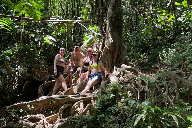 Private El Yunque Rainforest Day Tour with Transport - Walking El Yunque’s muddy 1.5-mile route