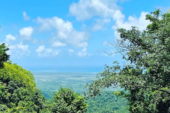 Private El Yunque Tour To Hidden Waterfall Remote Area - Why the private group matters