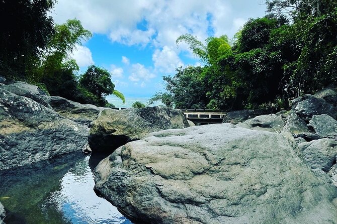 Private El Yunque Tour To Hidden Waterfall Remote Area - Weather, timing, and practical planning