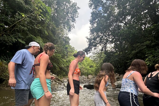 Private El Yunque Tour to Waterslide and Waterfalls - What this El Yunque outing is really about