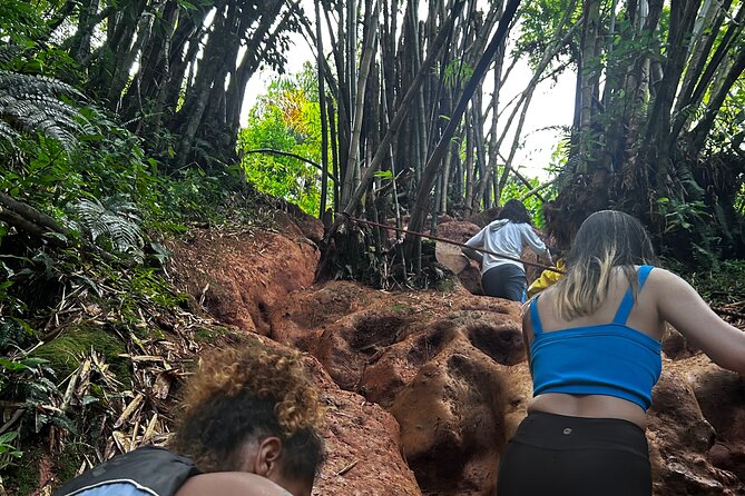 Private El Yunque Tour to Waterslide and Waterfalls - Who will enjoy this tour most
