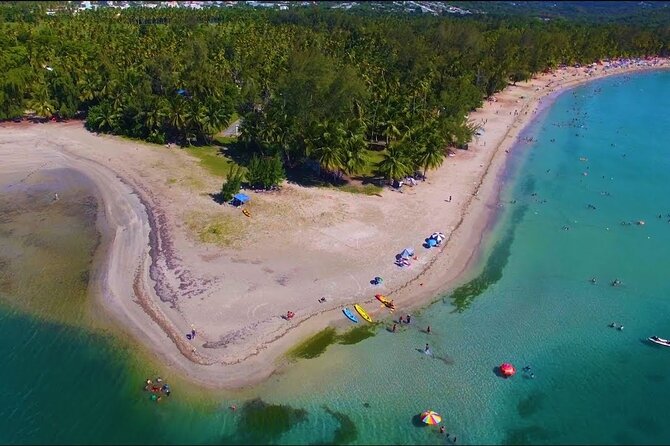 Private El Yunque Waterslides and Luquillo Beach Tour - Who will enjoy this day most