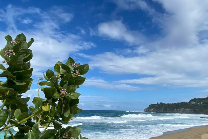 Private Full Day Aguadilla Sightseeing Tour - A Calm Break at Crash Boat Beach
