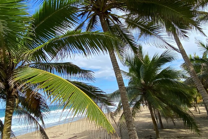Private Full Day Aguadilla Sightseeing Tour - Tidal Pools and Changing Coastal Conditions