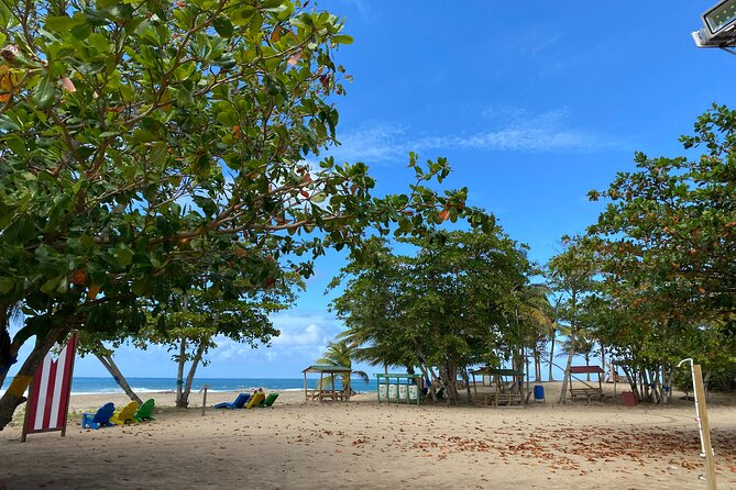 Private Full Day Aguadilla Sightseeing Tour - Snorkeling at Playa Peña Blanca