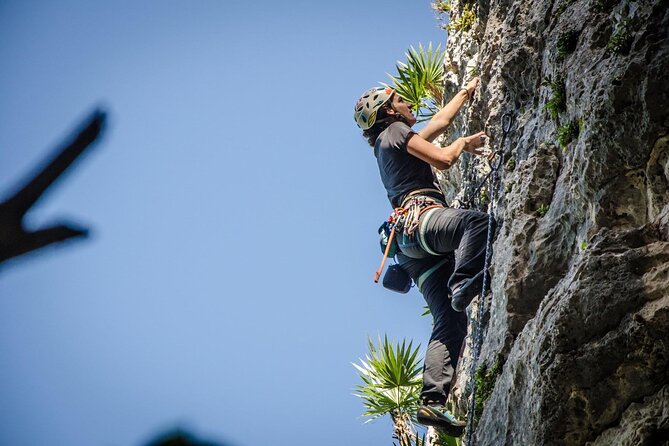 Private Guided Rock Climbing Trips in Puerto Rico - What the $165 price includes