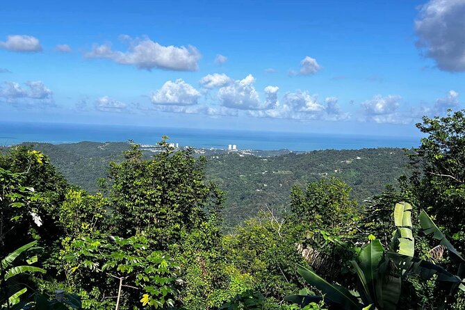 Private Guided Tour in Puerto Rico - A full day built around your group