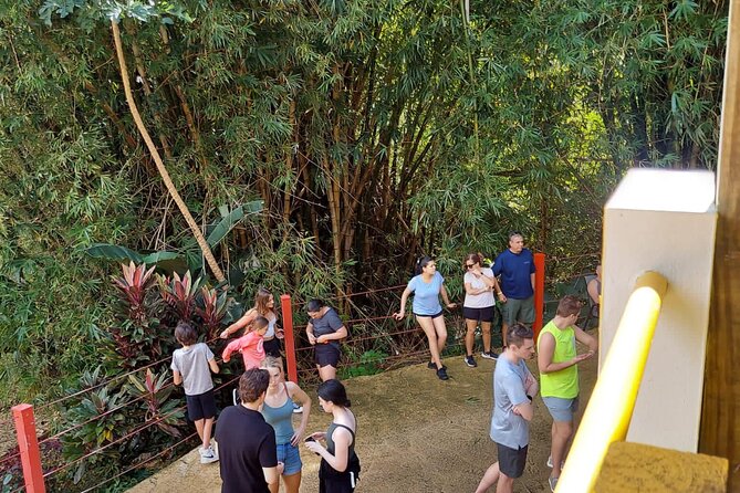Private Guided Tour in Puerto Rico - El Portal Visitor Center and El Yunque