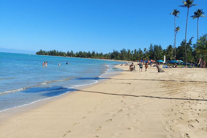 Private Guided Tour in Puerto Rico - What the $100 price really buys