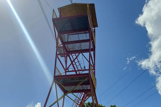 Private Guided Tour in Puerto Rico - The early start, transport, and physical demands