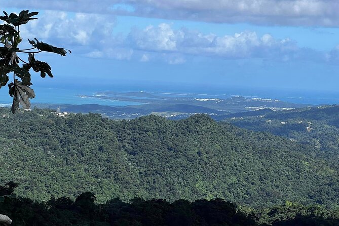 Private Guided Tour in Puerto Rico - Las Croabas and the hike to a quiet beach