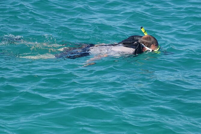 Private Half-Day Sailing and Snorkeling Tour - Is $695 a good value for your group?