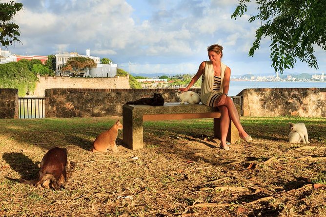 Private Old San Juan Walking Tour - Why the private format can justify the high price