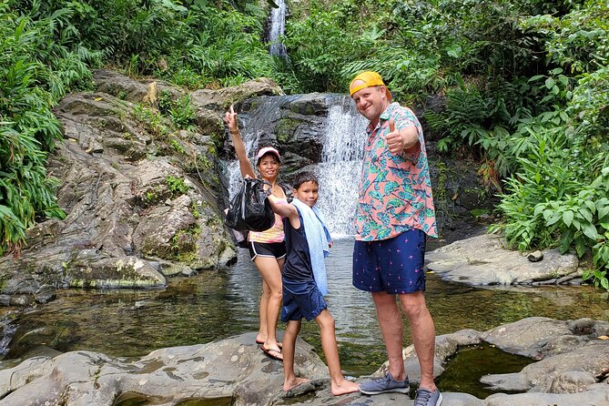 Private Rainforest Waterfalls and Beach Hiking Tour from San Juan - The drive into Toro Negro State Forest