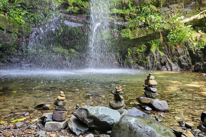 Private Rainforest Waterfalls and Beach Hiking Tour from San Juan - Who will enjoy this tour most