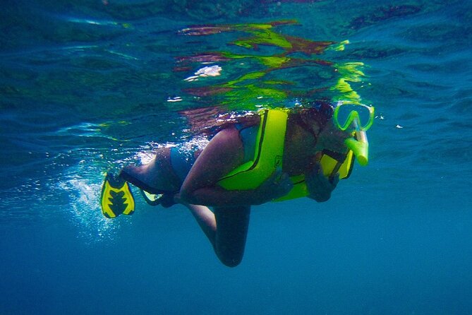 Private Rincon Snorkeling Adventure - Starting at 9:00 a.m. in Rincon
