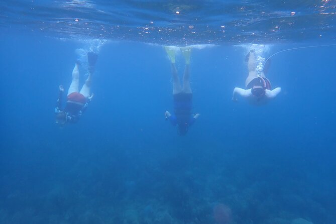 Private Rincon Snorkeling Adventure - The guide makes the difference