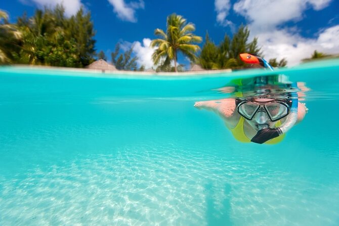 Private Snorkel and Dive Charter to Culebra (Up to 5 Guests) - Key points at a glance