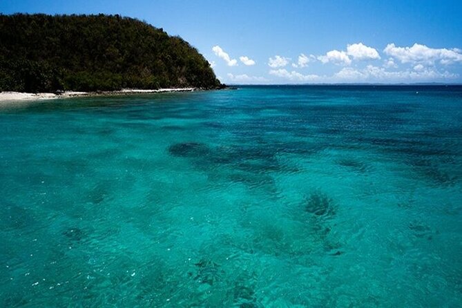 Private Snorkel and Dive Charter to Culebra (Up to 5 Guests) - Choosing between snorkeling and one tank