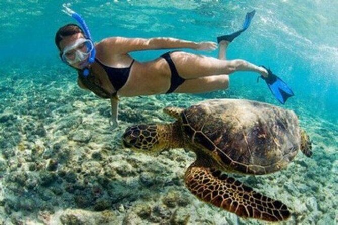 Private Snorkel and Dive Charter to Culebra (Up to 5 Guests) - Is five hours enough for Culebra?
