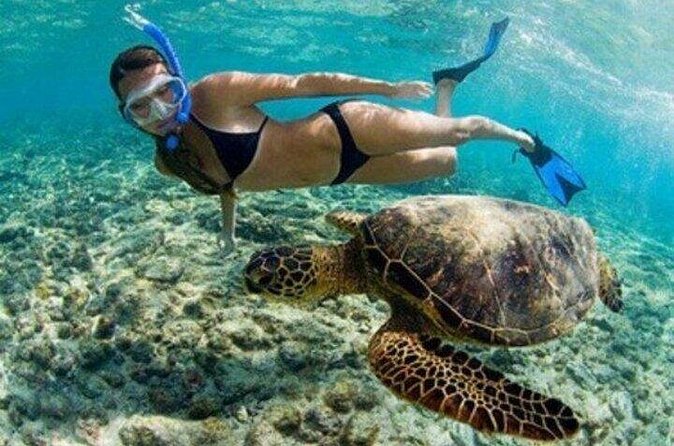 Private Snorkel and Dive Charter to Culebra (Up to 5 Guests) - Weather, cancellations, and planning advice