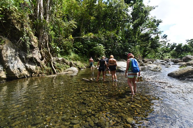 Private Tour of El Yunque Rainforest from San Juan - The $1,500 price and what your group receives