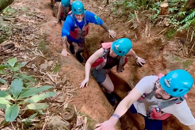 Private Tour of El Yunque Rainforest from San Juan - The gentler El Yunque version for families