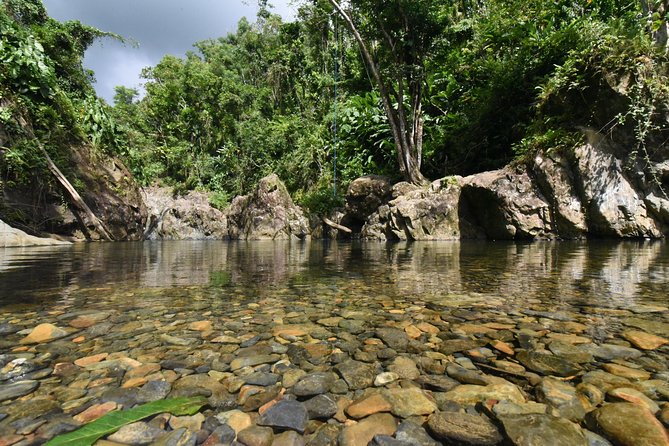 Private Tour of El Yunque Rainforest from San Juan - Weather, safety, and the fine print that matters