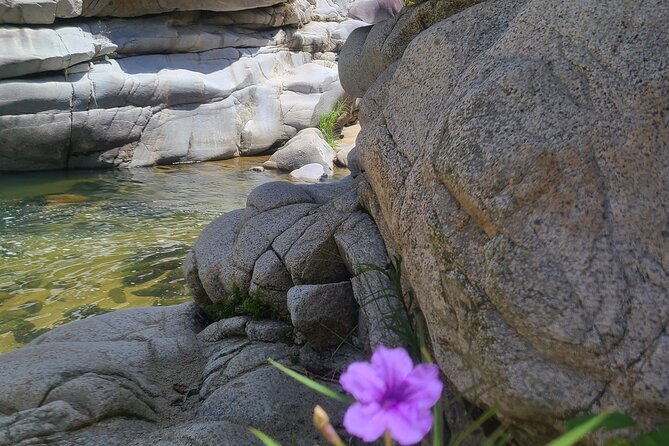 Private Tour of the White Canyon Ancestral Route in Utuado - Why the Private Format Helps