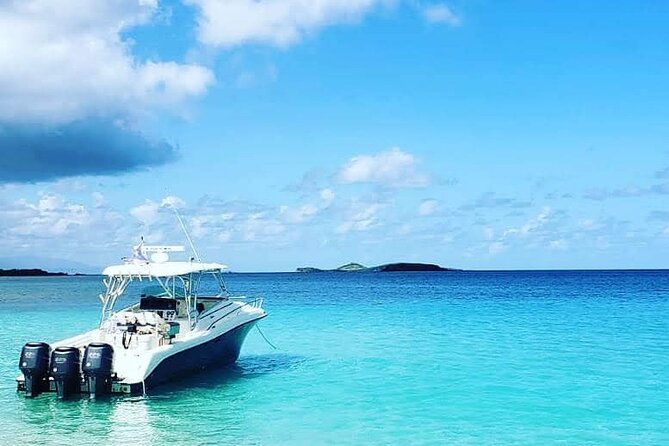 Private Tour to Cayo Icacos and Palomino Island - Key points to know before booking