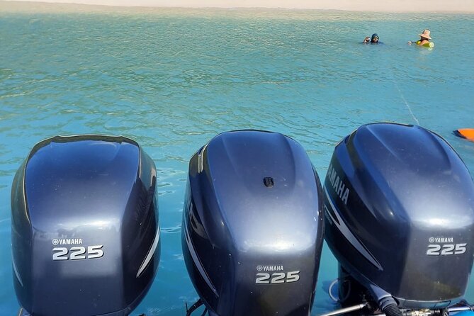 Private Tour to Cayo Icacos and Palomino Island - Music and the feel on board