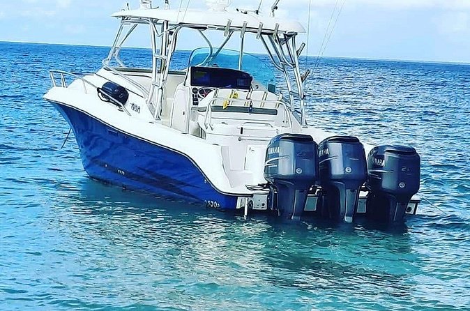 Private Tour to Cayo Icacos and Palomino Island - Who will enjoy this tour most
